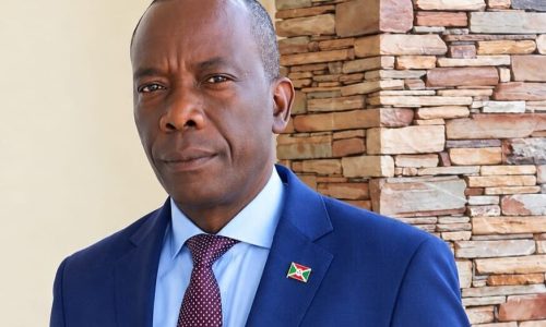 Nathan Ntahondi, Expert en Politiques de développement des TIC