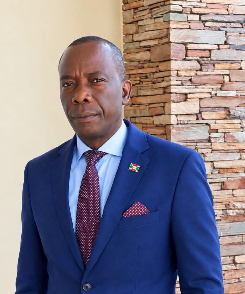 Nathan Ntahondi, Expert en Politiques de développement des TIC