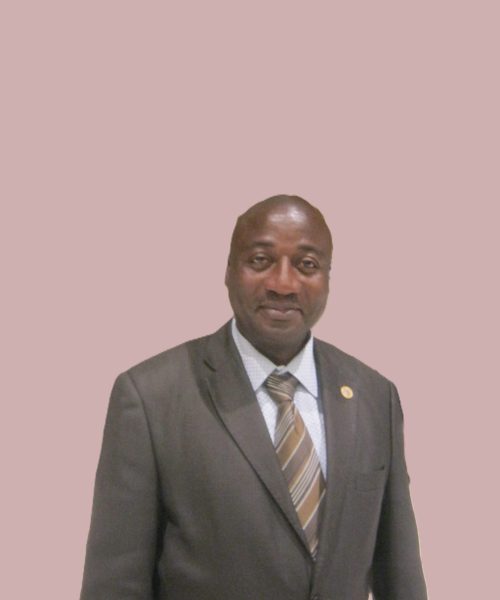 Michel Tchonang Linze