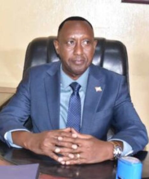 Gouverneur de la province de Burunga, Parfait Mboninyibuka