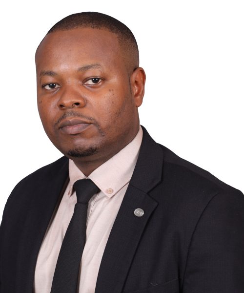 Diègue Nifasha, Expert